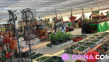 Vivero Firpo - 15900 La Paz