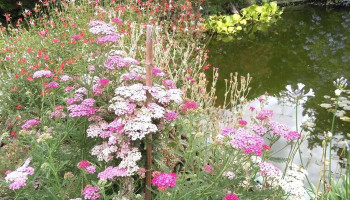 Vivero Jardin Diana - 70201 Nueva Helvecia