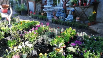 Vivero Jardines del Sacramento - Col. Del Sacramento