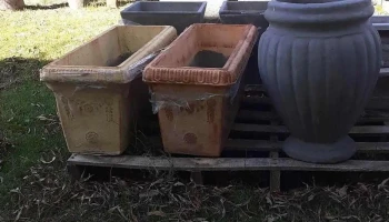 Vivero km47 - Departamento De San José Vivero km47 - Departamento De San José