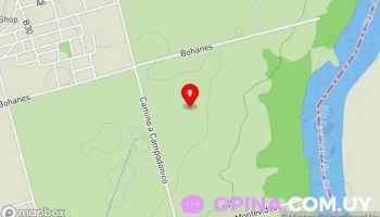 Vivero Lado Verde Campodonico - 55100 Bella Unión Vivero Lado Verde Campodonico - 55100 Bella Unión