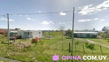 Vivero las brujitas - 37100 Rio Branco