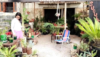 Vivero las Tunas Piriapolis - Departamento De Maldonado Vivero las Tunas Piriapolis - Departamento De Maldonado