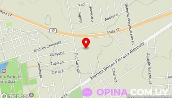 Vivero Manantial - 33000 Ejido De Treinta Y Tres Vivero Manantial - 33000 Ejido De Treinta Y Tres