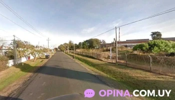 Vivero Municipal - Col. Del Sacramento