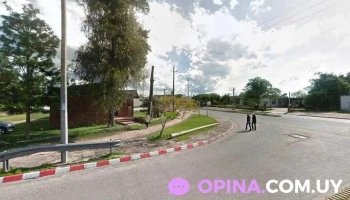 Vivero Olga - 37100 Rio Branco