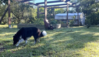 Vivero Rincon de Toledo - Departamento De Canelones