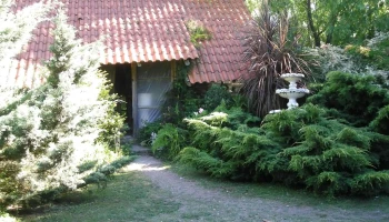 Vivero Russi - Km 29