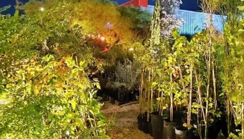 Vivero San Isidro - 33000 Treinta Y Tres