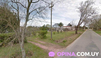 Your Place School of English - Montevideo