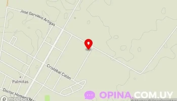 Zapatero - 75500 Palmitas