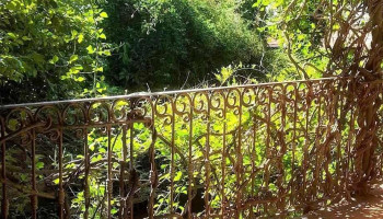 Zenit Salto - 50000 Salto