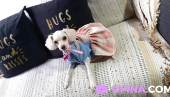 Zona Mascota - 12300 Montevideo