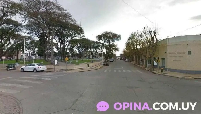 33Contenedores - Treinta Y Tres