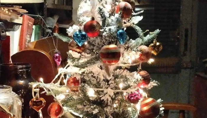 Abad Libros -  Interior - Montevideo