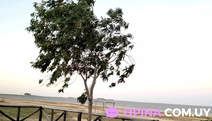 AbronK - 11600 Montevideo