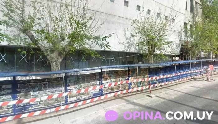 Academia Ccee - Montevideo