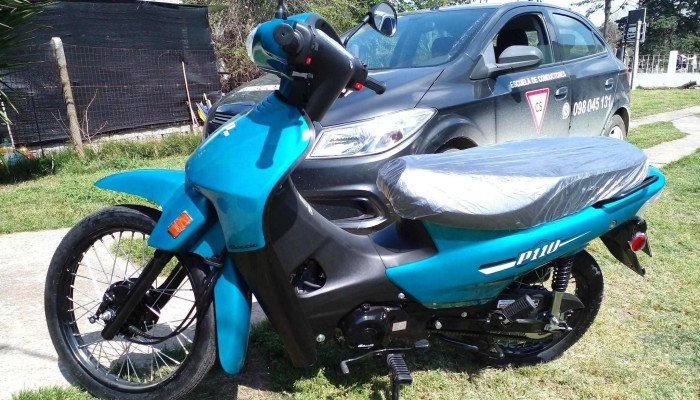 Academia Claudios Del Propietario - Sauce