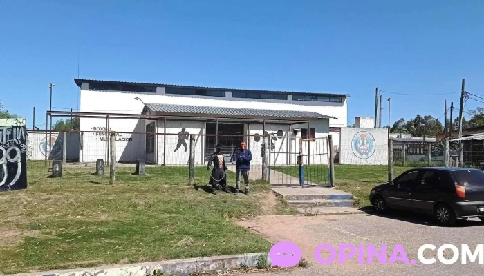 Academia De Boxeo Castro Veloz -  Videos - Maldonado