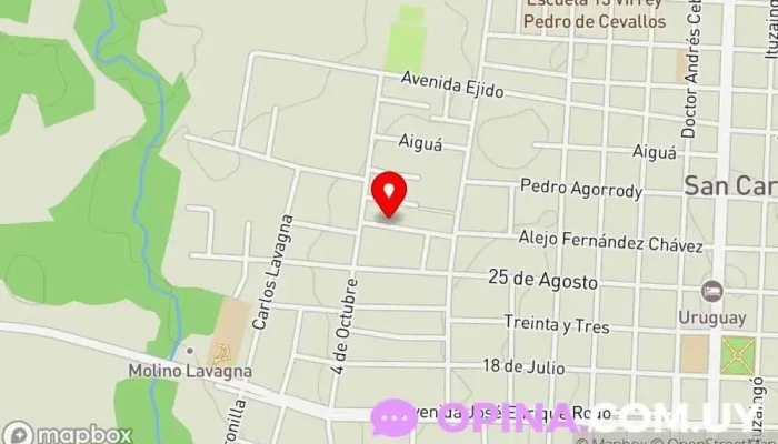 mapa de ACADEMIA DE CHOFERES ANALIA Escuela en San Carlos