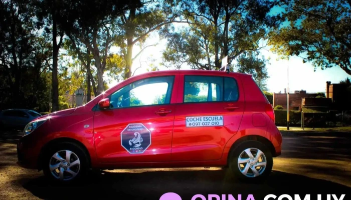 Academia De Choferes Escorpio Del Propietario - Montevideo