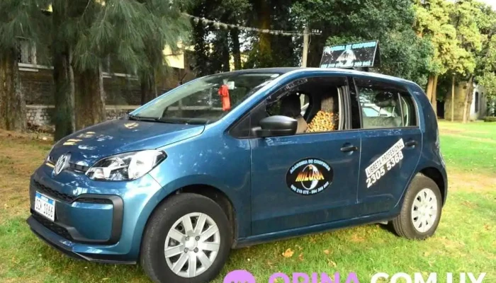 Academia De Choferes Miluna -  Del Propietario - Montevideo