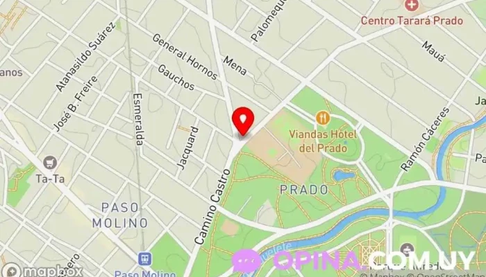 mapa de Academia de Choferes Miluna Centro de aprendizaje en Montevideo