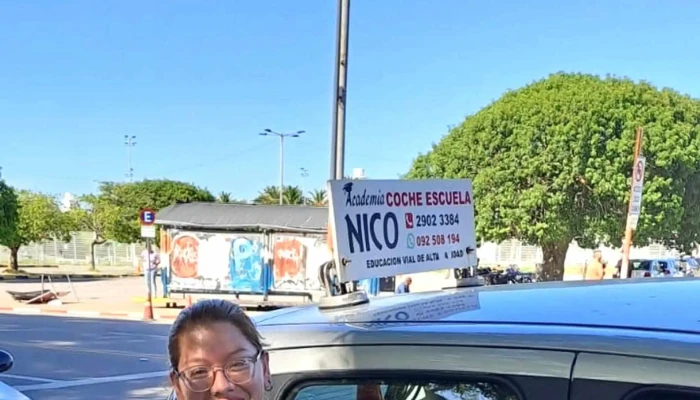 Academia De Choferes Nico -  Sitio Web - Montevideo