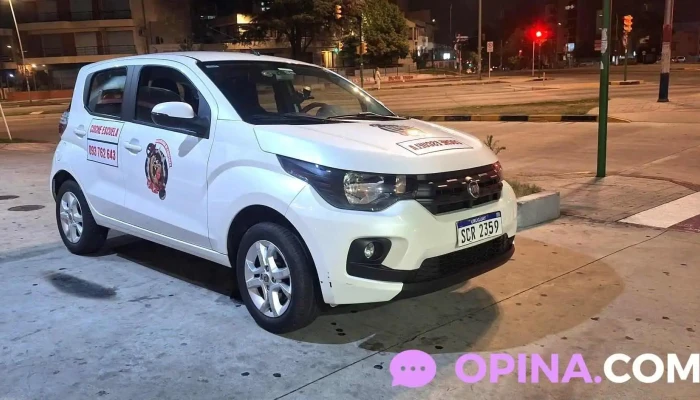 Academia De Choferes Taz -  Donde - Montevideo