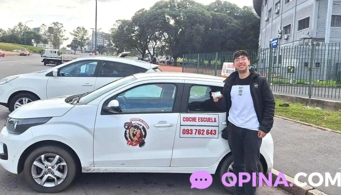 Academia De Choferes Taz -  Mas Recientes - Montevideo