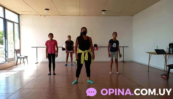 Academia De Danzas New Steps -  Del Propietario - Guichón