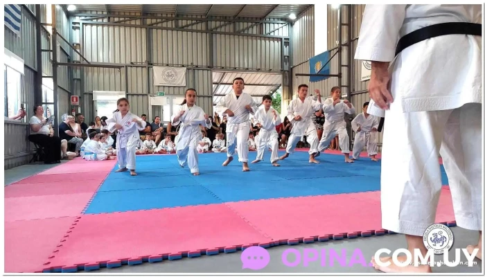 Academia De Karate Escuela Shotokan Maldonado -    Uruguay Comunidad - Maldonado