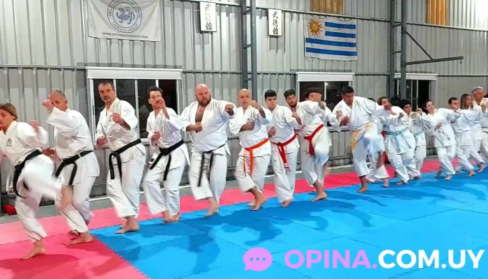 Academia De Karate Escuela Shotokan Maldonado -    Uruguay Uniforme - Maldonado
