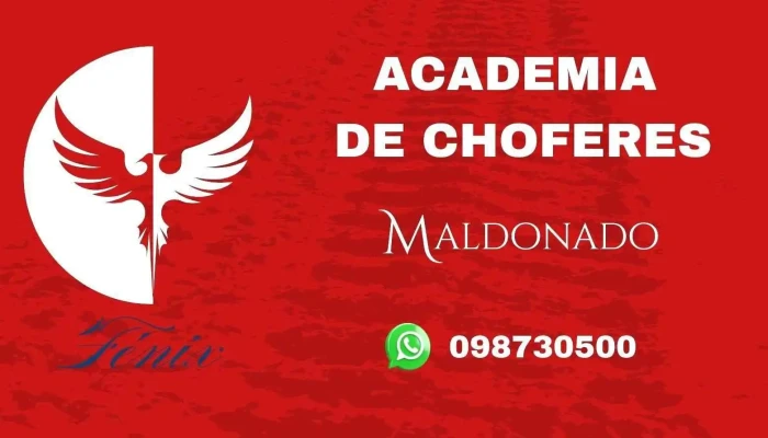 Academia Fenix -  Mas Recientes - Maldonado