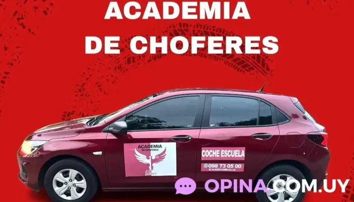 Academia Fenix -  Numero - Maldonado