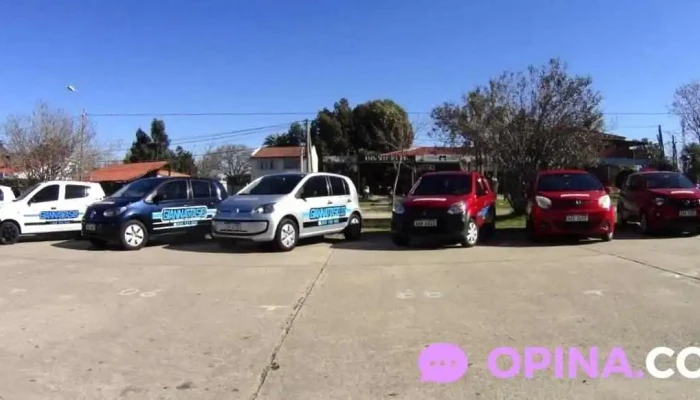 Academia Giannattasio - Salinas