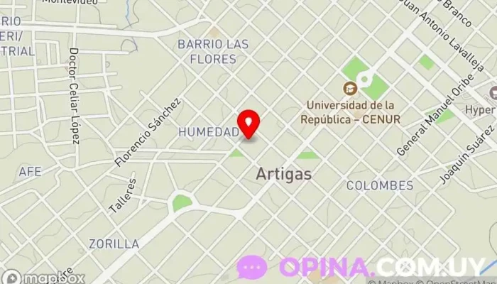 mapa de Academia Manassi Gimnasio en Artigas