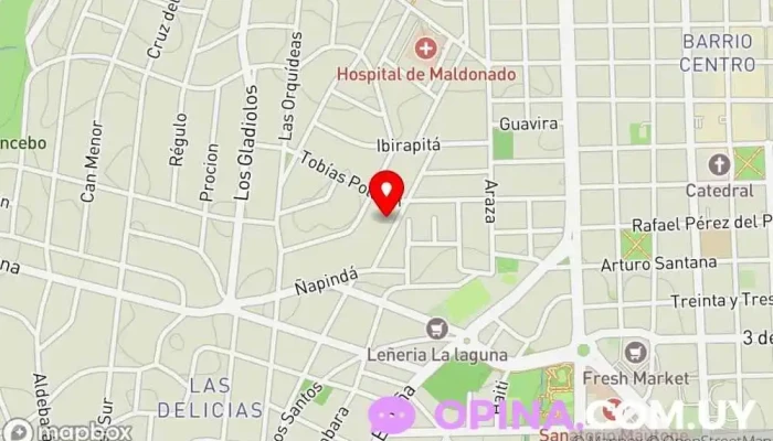 mapa de AcademIA Preuni Centro educativo en Maldonado