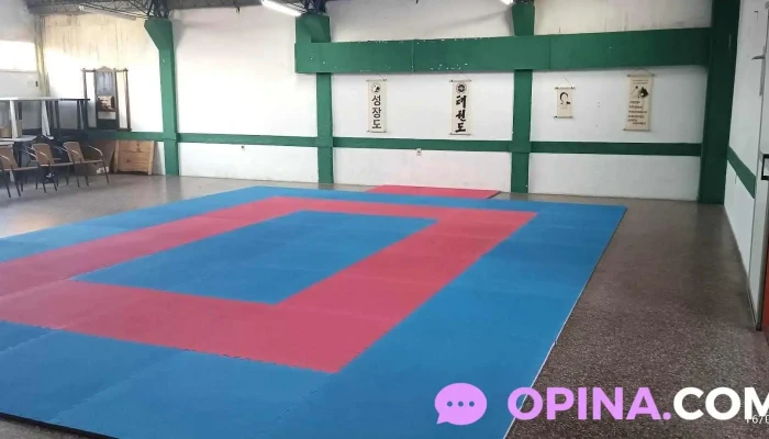 Academia Seongjang -  Do De Taekwon Do Itf Cerca De Mi - Canelones