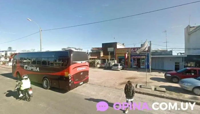 Academia Wtf Progreso - Progreso