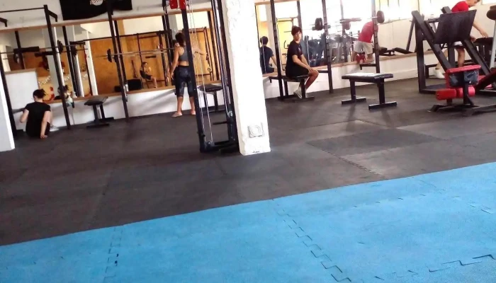 Activa Fitness Club -  Gimnasio - Col. del Sacramento