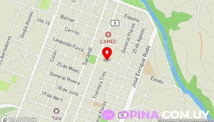 mapa de Adela Plavan Inmobiliaria Agentes inmobiliarios en Rosario