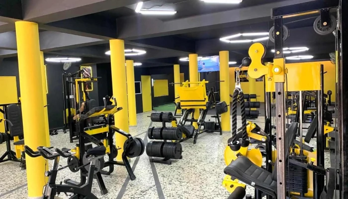 Adnbio Gimnasio -  Zona - Melo