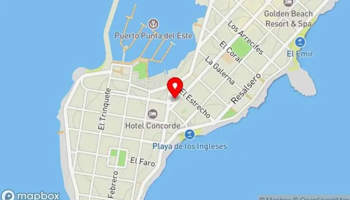 mapa de Adrianuzca´s Cat Café Cafetería, Cafetería apta para perros en Punta del Este