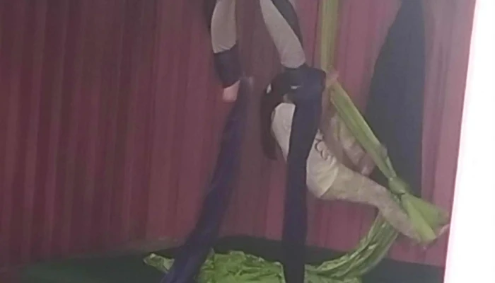 Aerial Pink Studio -  Zona - Parque del Plata