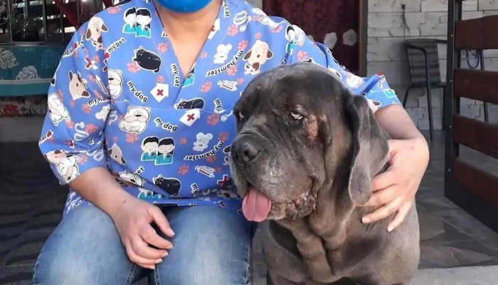 Aeroparque Mascotas - Departamento De Canelones