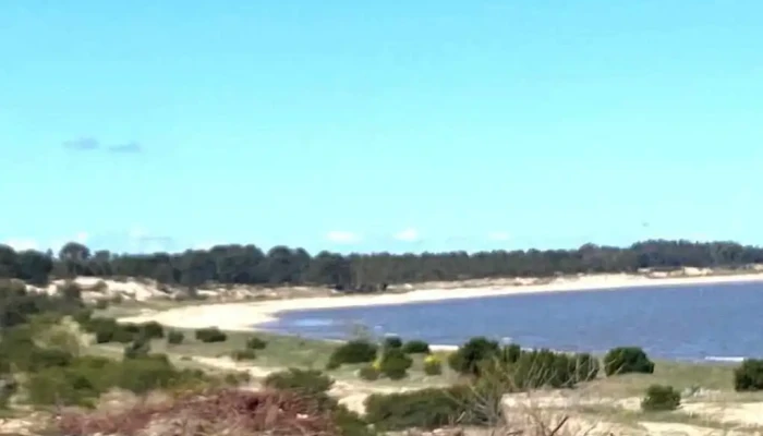 Ag. Propiedades. Inmobiliaria Rural y Urbana. - Carmelo