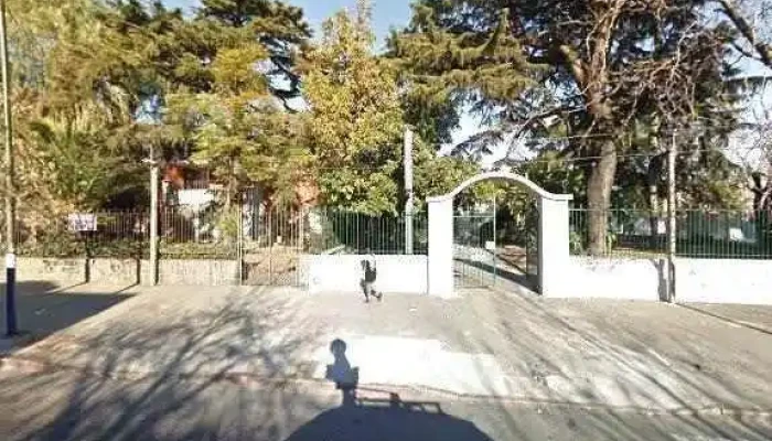 Agraciada Propiedades -  Telefonodeg - Montevideo