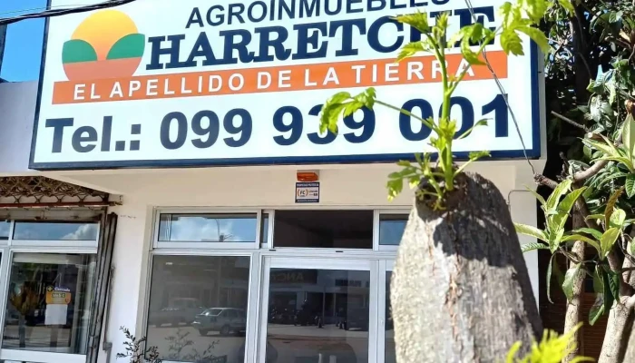Agroinmuebles -    Harretche Donde - Los Cerrillos