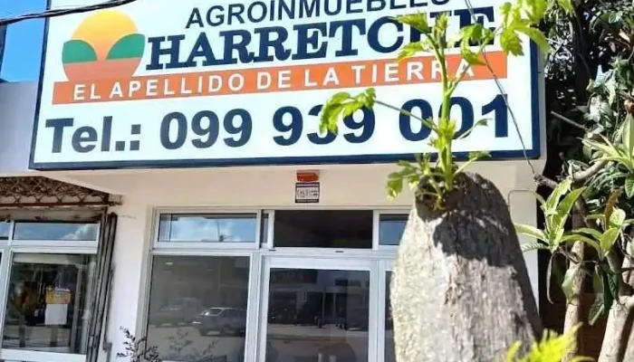 Agroinmuebles - Harretche - Los Cerrillos